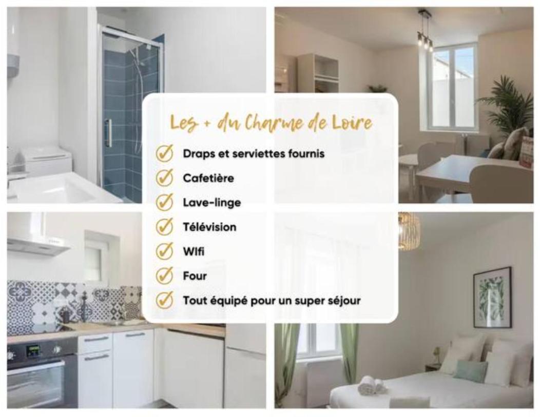 Ferienwohnung Charme De Loire A St Ay *T2* Saint-Ay Exterior foto
